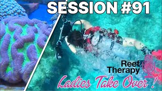 The Ladies Take Over Reef Therapy AGAIN  91 [upl. by Aidyl]