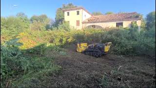 Disboscamento di area incolta con Robogreen Energreen  Verdest srl [upl. by Kabob]