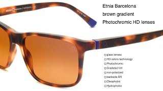 Etnia Barcelona brown gradient photochromic lens review [upl. by Aradnahc]