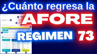 ¿Cuánto Regresa la Afore a Régimen 73 [upl. by Vin250]