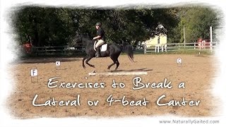 How to Break a Pace Canter or 4 Beat Canter for the Tennessee Walking Horse [upl. by Theone]