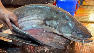 Amazing Big Boal Fish Cutting In Bangladesh Fish Market  Catfish Cutting Skills [upl. by Nilya]