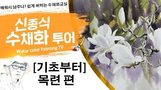 신종식수채화투어목련기초부터 watercolor painting TV foundation 水彩画 水彩畫 Aquarelle акварельный [upl. by Secrest]