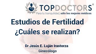 Fertilidad ¿Qué estudios se realizan para diagnosticarla [upl. by Aidnis697]