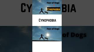 fear of dogscynophobiapronunciationsingularpluralenglishgrammarenglishspokenenglishshort [upl. by Clothilde]