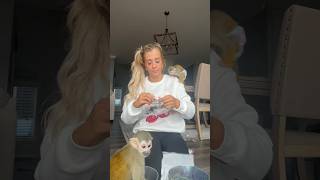 snapchat👻 OLIVERANDOAKLEY madlovesripley monkey beauty grwm animals funny viral fashion❤️ [upl. by Eisnyl]