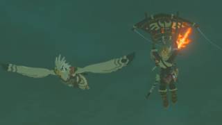 Vah Medoh and Windblight Ganon Boss The Legend of Zelda Breath of the Wild [upl. by Ailime156]