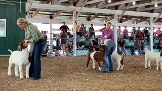 2019 Country Fair Goat Show [upl. by Eidak]