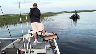 Morning on Lake Okeechobee with the outdoor legend Lief Garrard owner of GARRARDS TACKLE Okeechobee [upl. by Ahsercal328]