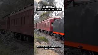 J549 pulling the Victorian Goldfields Railways Members Train steamtrain [upl. by Aveneg]