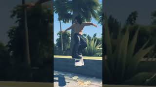 Skate 3 quot filter quot [upl. by Schweiker395]