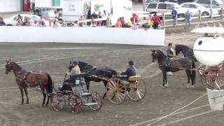 NE Morgan Horse Show Carriage Driving w Tim Morrell West Brookfield MA 2012 [upl. by Ardnasal]