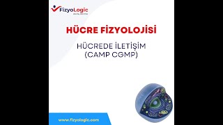 FİZYOLOGİC HÜCRE FİZYOLOJİSİ  HÜCREDE İLETİŞİM cAMP cGMP [upl. by Anesuza]