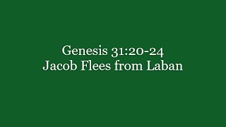 256 Genesis 312024 Jacob Flees from Laban [upl. by Aissert]