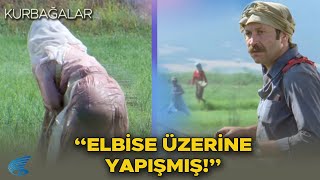 Kurbağalar Türk Filmi  quotElbise Üzerine Yapışmışquot [upl. by Natlus]