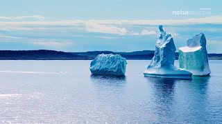 1 HOUR NON STOP Relaxing Music Icebergs in Newfoundland’s Amherst Cove [upl. by Swihart]