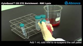 CytoQuest™ CR CTC Enrichment  RBC Lysis [upl. by Nibla261]