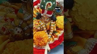 Mera shyaam aa jata mere samne 🙏khatushyaam krishna laddugopal shortvideo [upl. by Wiley]