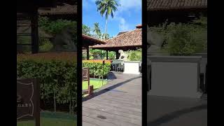 Anantara Kalutara resort shorts [upl. by Hemetaf]