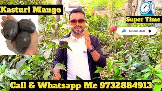 how to R2E2 Mango Plants  Kasturi Mango Plants [upl. by Mercedes]