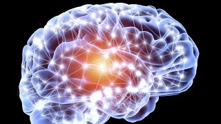 La neurogénèse  le développement du cerveau de A à Z [upl. by Fishman]