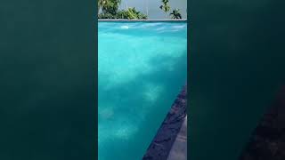 Lagoon holiday 🥰 Kozhikode narinada Resortfamily vlog [upl. by Ahsocin]