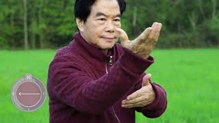 Tai Chi with Master Mantak Chia  Beginner to Intermediate  Yang Style Short Form [upl. by Tyrrell]