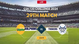 AET Tuskers vs Dolphins Live Score CSA T20 Challenge 2024 [upl. by Acined188]