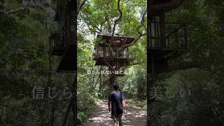 宿「Treeful Treehouse」 沖縄 ツリーハウス ホテル 自然 sauna サウナ japan okinawa japantravel 名護 リトリート [upl. by Auqenaj297]