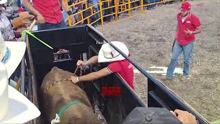 🔴 G63 vs KIKITO DE JALISCO en Vivo RANCHO EL AGUAJE 🔴 King City 9 Noviembre 2024  Jaripeo Completo [upl. by Recneps336]