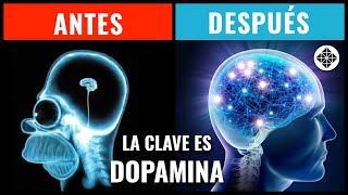 Cómo Ser Más Disciplinado • Domina tu DOPAMINA y Construye Motivación [upl. by Keithley]