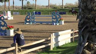 Chaccuna Matata 130m Jumpers Desert Circuit 2020 [upl. by Lammaj]