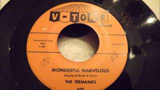 Tremaines  Wonderful Marvelous  Good Uptempo Doo Wop [upl. by Aland227]