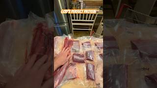 38 pounds of venison put in the freezer yesterday hunting deer homestead food [upl. by Seniag]