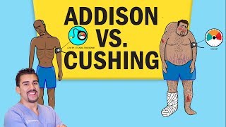 Addisons vs Cushings Disease for NCLEX RN [upl. by Olinde]