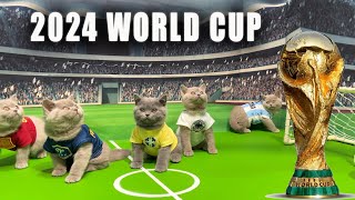 NEW CATS KITTENS WORLD CUP ⚽️ ANNOUNCEMENT [upl. by Nedrob]