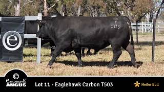 Lot 11 Eaglehawk Carbon T503 [upl. by Sundin]