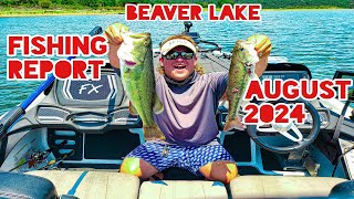 Expert advice on August 2024 Beaver Lake fishing [upl. by Uzial]