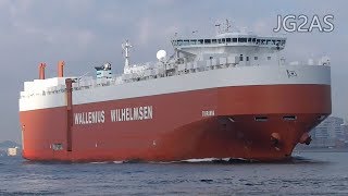 Shipspotting Japan  MV TIRRANNA 自動車船 Vehicles carrier Wallenius Wilhelmsen 2018APR [upl. by Enelegna]