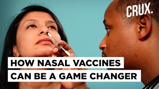 How Nasal Vaccines Work amp Why Bharat Biotechs Intranasal Covid Vaccine Can Help In 100 Vaccination [upl. by Virgil]