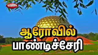 Auroville Puducherry  Travel Guide  Auroville Experience [upl. by Hathcock774]