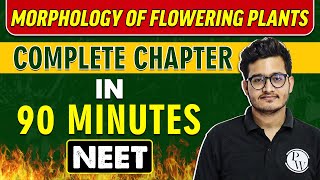 MORPHOLOGY OF FLOWERING PLANTS in 90 minutes  Complete Chapter for NEET [upl. by Avert530]