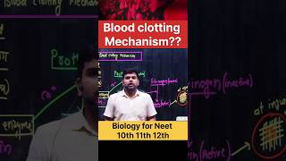 Blood clotting mechanism biology shorts neet viralvideo [upl. by Yasu]