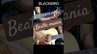 BLACKBIRD shorts guitar [upl. by Goth]