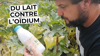 Du lait contre loïdium [upl. by Retrac]