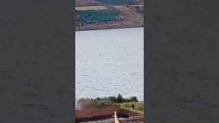 25 foot Loch Ness Monster swims by Clansman Loch Ness 25102024 [upl. by Puff686]