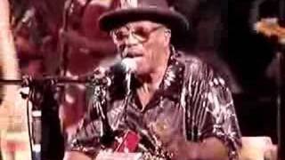 Bo Diddley  Crackin Up  Gainesville 61706 [upl. by Repsaj]