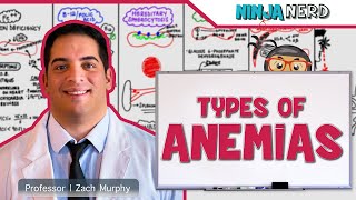 Hematology  Types of Anemias [upl. by Erina]