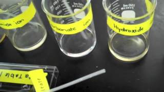 Making Ionic Compounds Experiment [upl. by Lewendal]