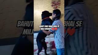 Bahut Dino Baad Bhai Se Mila Brandy vlog brandy doglover dog dogmom bhai short [upl. by Ahsinot158]